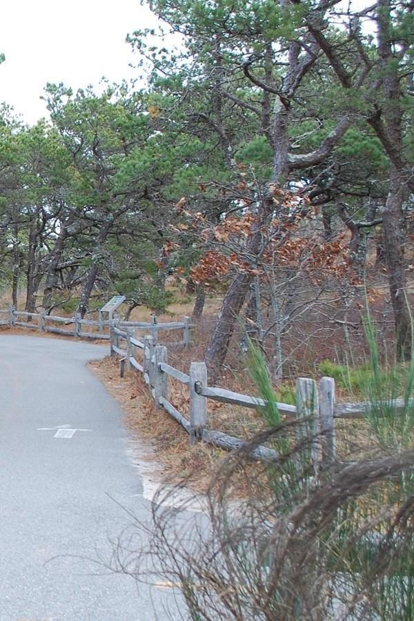Province Lands Bike Trail